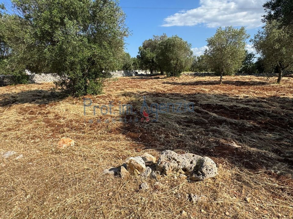 Helårsgrund i Carovigno, Brindisi - foto 4